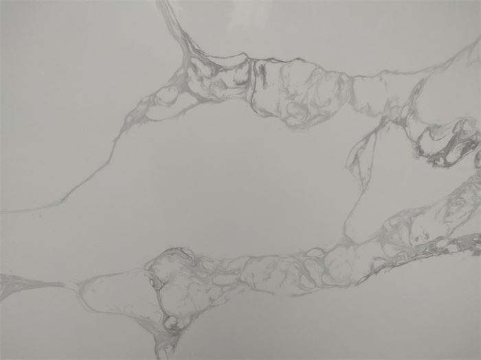 Calacatta tuscany quartz polished