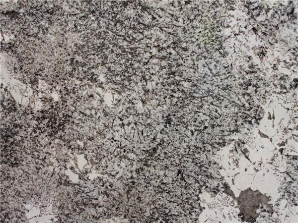 Carreaux de granit Bianco Antico